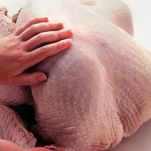 Arrosto di tacchino alle mele