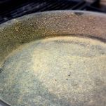 Bassotti alla moda di Faenza