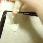 Biscotti di farina d&#8217;avena