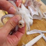 Calamari in umido all&#8217;abruzzese