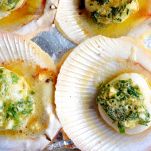 Capesante allo spumante