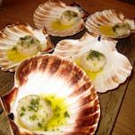 Capesante dell’amore