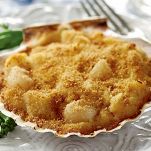 Capesante dell’amore