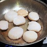 Capesante dietetiche