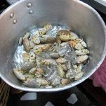 Cicale di mare con insalata di zucchine