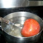 Cipollata monferrina