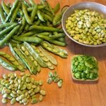 Costolette d’agnello alle fave