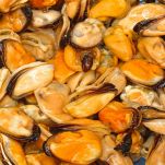 Cozze cotte e sgusciate