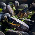 Cozze con il prezzemolo nella padella