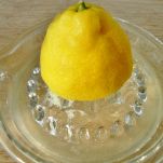 Dente di leone in insalata