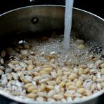 Fagioli alla padovana