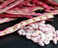 Un mucchietto di fagioli borlotti freschi posati su piano scuro con sullo sfondo baccelli secchi ancora integri, dalla buccia fucsia con sfumature chiare