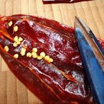 Farfalle con peperoncini dolci