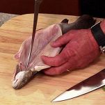 Filetti di trota salmonata al cognac