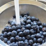 Focaccine di mirtilli