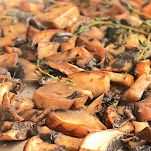 Funghi alla bordolese