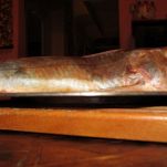 Gallinelle di mare con patate e zafferano