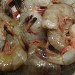 Gallinelle di mare con patate e zafferano