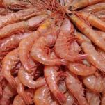 Gamberi al marsala con il Bimby