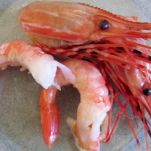 Gamberi all’aglio in salsa piccante