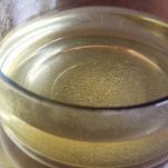 Gratin di pesce e frutti di mare