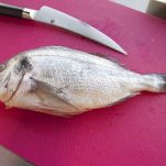 Guazzetto alla marinara