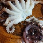 Guazzetto di moscardini