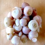 Insalata di lampascioni