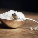 Insalata di pollo al tartufo