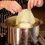 Insalata di verza e cavolo