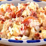 Linguine al sugo di aragosta