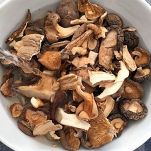 Maccheroncini con ragù di vitello e funghi