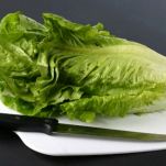 Maccheroni al sugo di triglia