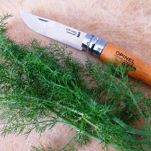 Maccheroni al sugo di triglia