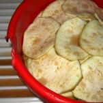 Melanzane sotto sale