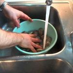 Omelette ai frutti di mare