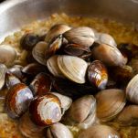 Omelette ai frutti di mare