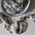 Piatto unico alla genovese