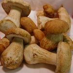 Pizza d&#8217;autunno