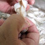 Polpetielli affogati