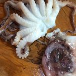 Polpetielli alla luciana