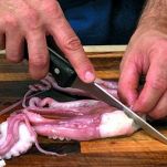 Polpo in salsa di pomodoro piccante