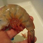 Quiche di porri e gamberetti