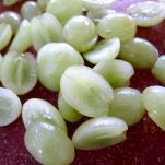 Rana pescatrice con uva