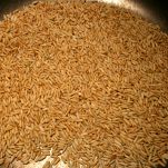 Riso con noci su crema di zucca