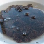 Riso pilaf all’indiana