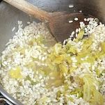 Risotto con la verza