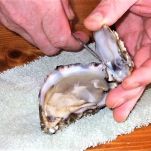 Risotto con ostriche scampi e verdure