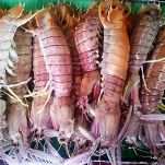 Risotto con ostriche scampi e verdure