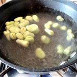 Risotto con vongole e fave